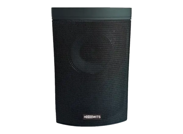 PA LSP20A-Wm Black IP Network Speaker